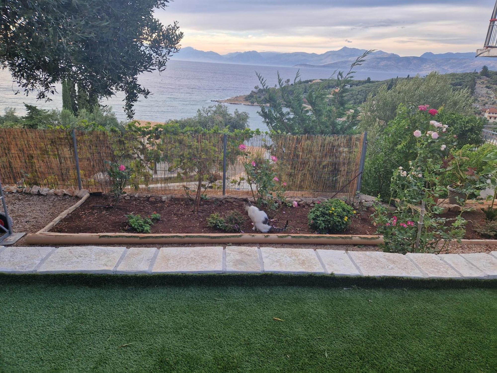 Fatiras Studios Kassiopi Dış mekan fotoğraf